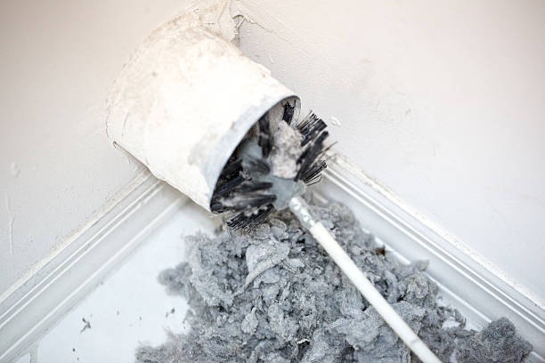 Best HVAC System Cleaning  in Stafford, TX
