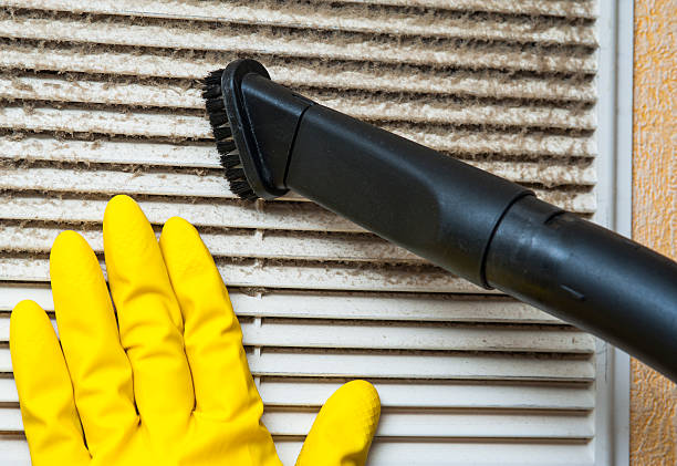 Best Local Air Duct Cleaning Services  in Stafford, TX